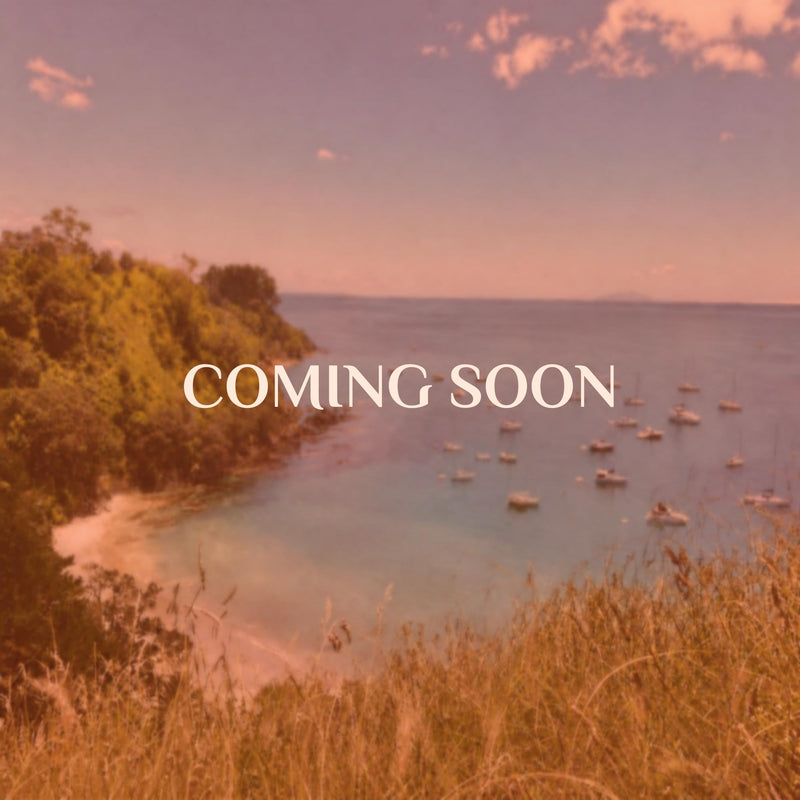 Waiheke Beaches magnet box